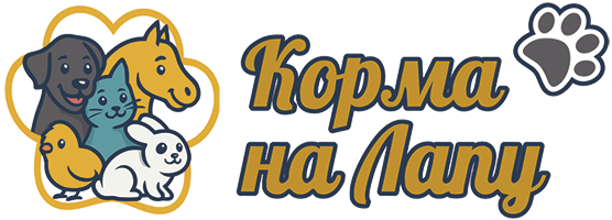 Название Сайта