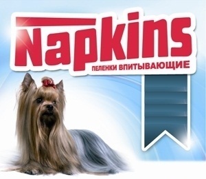 Napkins (Напкинс) - Пеленки впитывающие 60*90 см (10 штук)